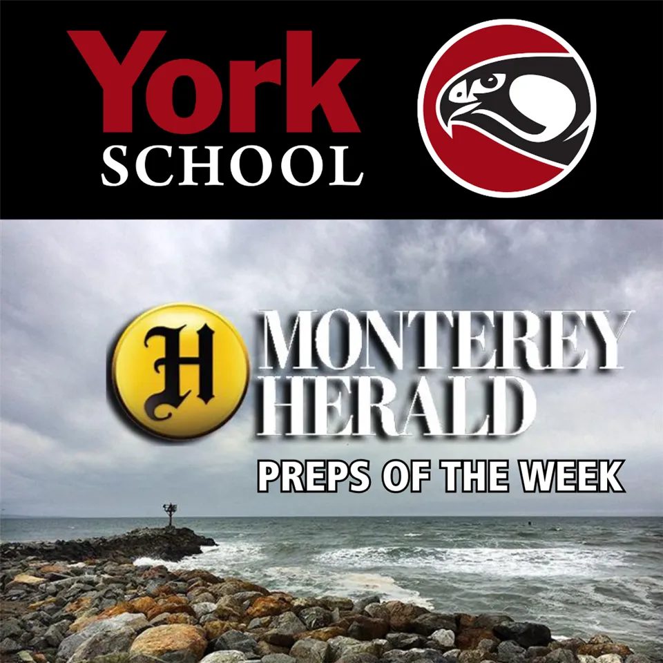 York Falcons Make Monterey Herald's Preps of the Week