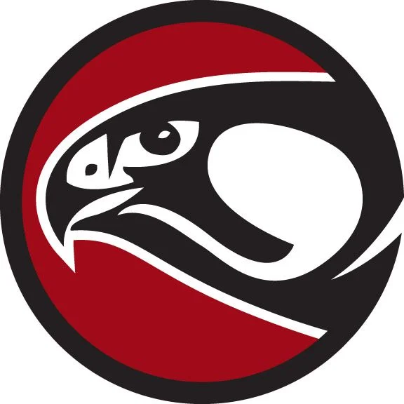 Falcon icon